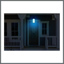 AUSTEN 1LT OUTDOOR HANGING - 62-5996