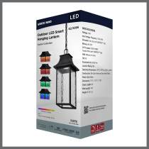 AUSTEN 1LT OUTDOOR HANGING - 62-5996