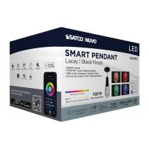 LACEY 4" LED RGB/TW PENDANT - 62-6002