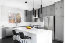 CENTURY 12W LED 16" PENDANT - 62-816