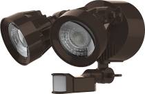 LED DUAL HEAD SECURITY LT - 65-094