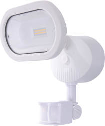 LED SINGLE HEAD SECURITY LT - 65-106
