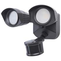 LED 2 SQUARE HEAD SECURITY LGT - 65-1403