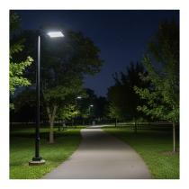 LED AREA LIGHT BRONZE 120-277V - 65-1526