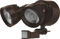 LED DUAL HEAD SECURITY LT - 65-204