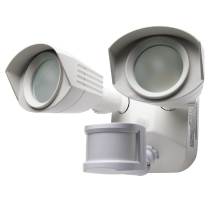 LED DUAL HEAD SECURITY LIGHT - 65-217