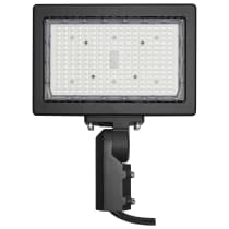 150W LED FLOOD LIGHT - 65-620R1