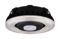 25W LED CANOPY LIGHT - 65-624