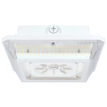 LED WIDE BEAM ANGLE CANOPY - 65-635
