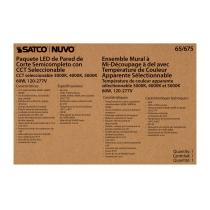 60W SEMI CUTOFF WALL PACK - 65-675