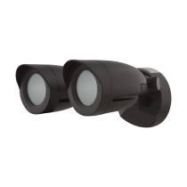LED 2 BULLET HEAD SECURITY LGT - 65-712