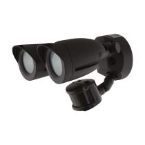 LED 2 BULLET HEAD SECURITY LGT - 65-713