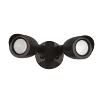 LED 2 BULLET HEAD SECURITY LGT - 65-718