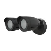 LED 2 BULLET HEAD SECURITY LGT - 65-720