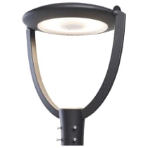 LED LG POST TOP W/PC 120-347V - 65-896
