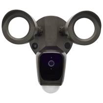 BULLET SEC LGT W/ CAMERA - BR - 65-902