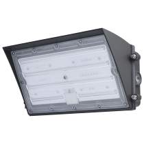 SEMI CUTOFF WALL PACK - 65-942