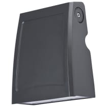 SMALL ADJUSTABLE WALL PACK - 65-943