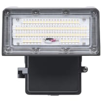 SMALL ADJUSTABLE WALL PACK - 65-943