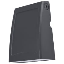 LARGE ADJUSTABLE WALL PACK - 65-944