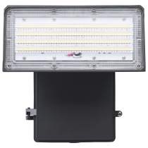 LARGE ADJUSTABLE WALL PACK - 65-944