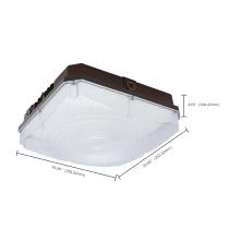 10" LED SELECTABLE CANOPY - 65-981