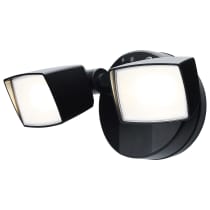 LED 2 HEAD SECURITY FLOOD - 65-996