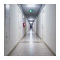 EX SIGN-CAN-EL-AL - 67-530