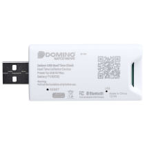 DOMINO INDOOR REAL TIME CLOCK - 87-701