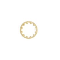 1/4 IP TOOTHWASHER BRASS PLATE - 90-1580