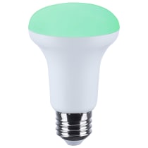 R20/6W/LED/RGBTW/SF - S11103