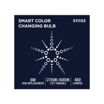 R20/6W/LED/RGBTW/SF - S11103