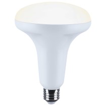 BR40/12W/LED/RGBTW/SF - S11105