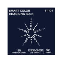 BR40/12W/LED/RGBTW/SF - S11105