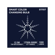 PAR30/12.5W/LED/RGBTW/SF - S11107