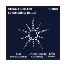 PAR38/15W/LED/RGBTW/SF - S11108