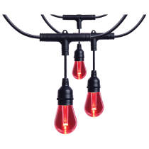 24FT/LED/SL/S14/SF/RGBTW/120V - S11190