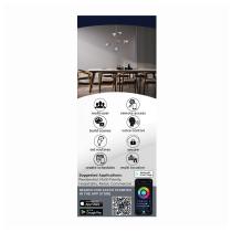 B11/4W/LED/RGBTW/CL/E26 - S11243