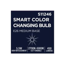 T9/5.5W/LED/RGBTW/SF/CL/E26 - S11246