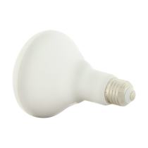 9.5BR30/LED/RGB/TW/SF - S11255