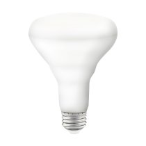 9.5BR30/LED/RGB/TW/SF - S11255