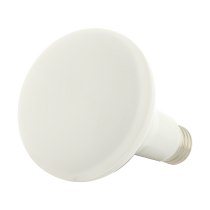 9.5BR30/LED/RGB/TW/T20/SF - S11257