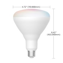 12BR40/LED/RGB/TW/T20/SF - S11284