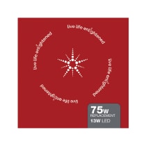 13A21/LED/RGB/TW/T20/SF - S11287