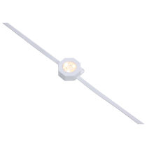 100FT/72LED/PSL/SF/RGBTWIC - S11298