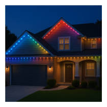 25FT/18LED/PSL/EXT/SF/RGBTWIC - S11299