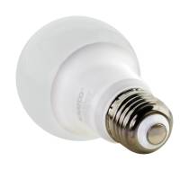 9A19/LED/E26/827/120V/100PK - S11412
