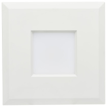 9WLED/RDL/5-6/5CCT-SEL/SQ - S11821R1