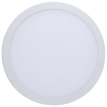 30WLED/DW/10/CCT/RND/FL/DD - S11848