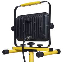 WL50W/LED/850/Y/120/IP65/TP - S13097